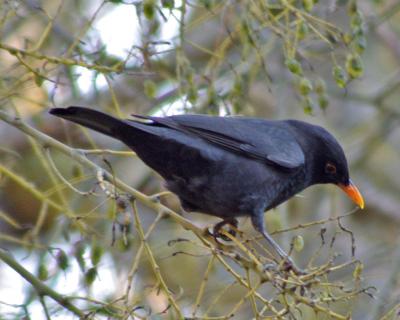 Прикрепленное изображение: 004.jpg